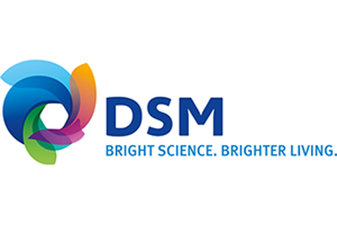 DSM