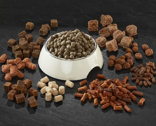 Alimentation Animale